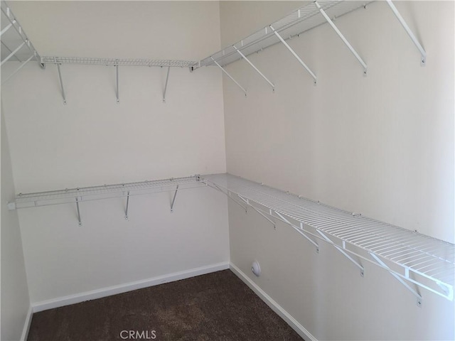 spacious closet with carpet