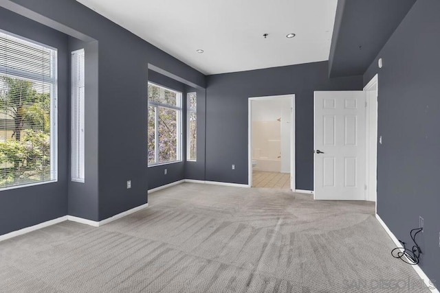 interior space featuring multiple windows and light carpet