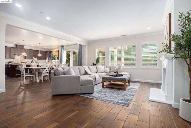 living room featuring dark wood-type flooring and ornamental molding