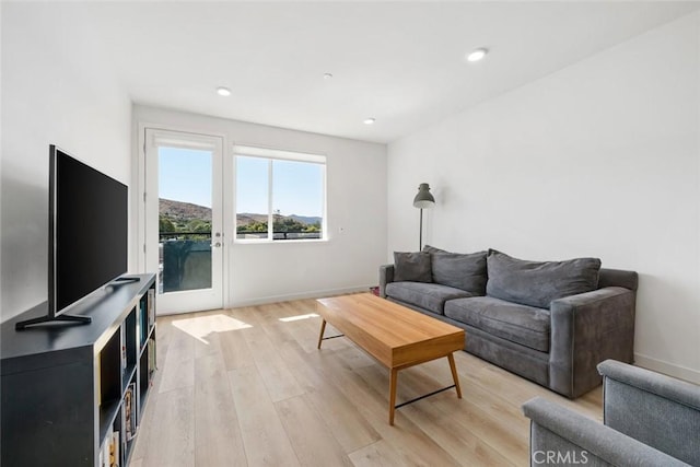 living room with light hardwood / wood-style flooring