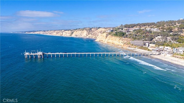 water view featuring a beach view