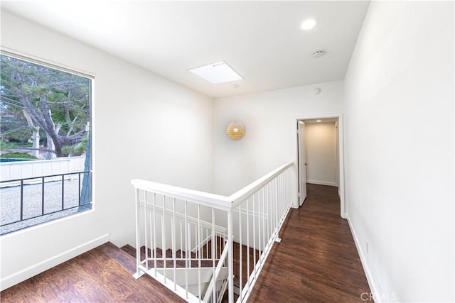 hall featuring dark hardwood / wood-style floors and a skylight