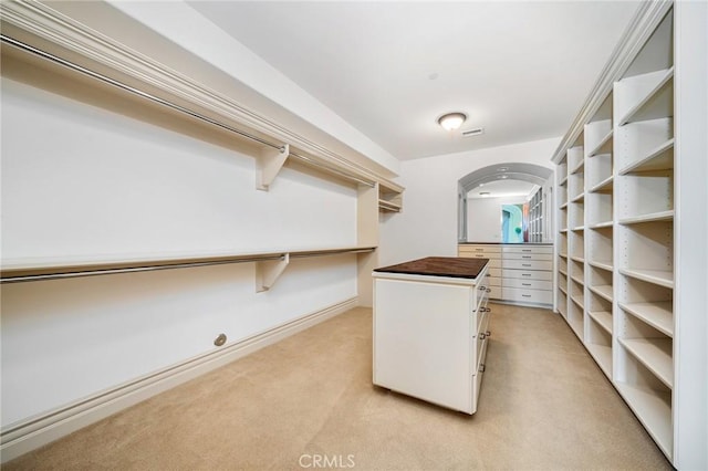 spacious closet featuring light colored carpet