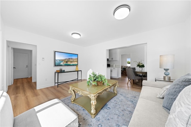 living room with wood-type flooring