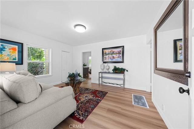 living room featuring wood-type flooring