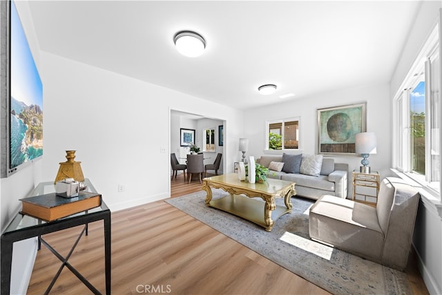 living room featuring light hardwood / wood-style flooring