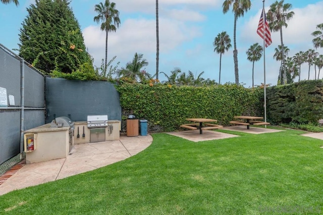 view of yard featuring a patio and area for grilling