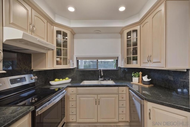 kitchen with a raised ceiling, appliances with stainless steel finishes, sink, and backsplash