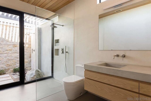 bathroom with vanity, a shower, plenty of natural light, and toilet