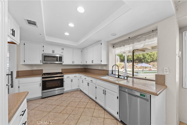 kitchen with a tray ceiling, appliances with stainless steel finishes, sink, and white cabinetry