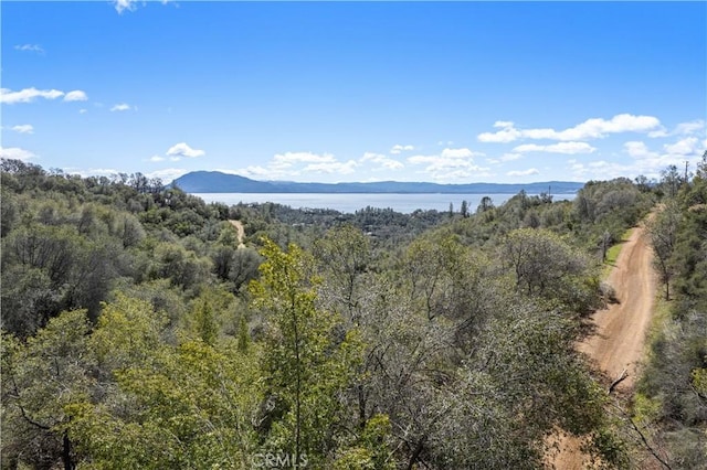 3110 California Dr, Nice, CA 95464 - photo 2