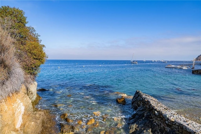 42 Camino De Flores Unit 60, Avalon, CA 90704 - property view of water
