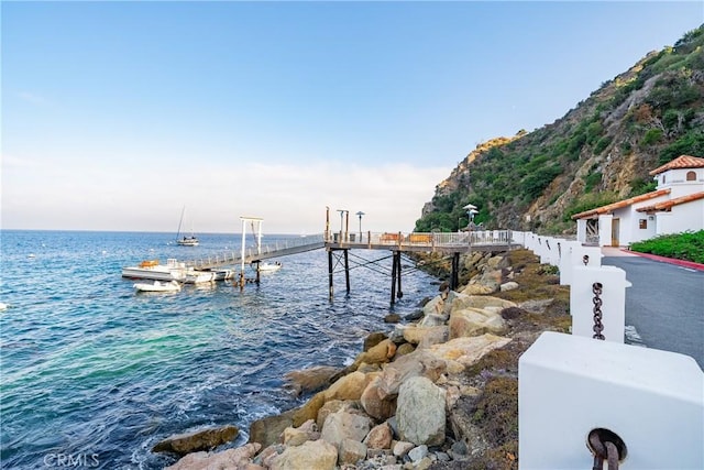 42 Camino De Flores Unit 60, Avalon, CA 90704 - property view of water featuring a boat dock