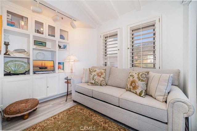 42 Camino De Flores Unit 60, Avalon, CA 90704 - living room featuring rail lighting and light wood finished floors