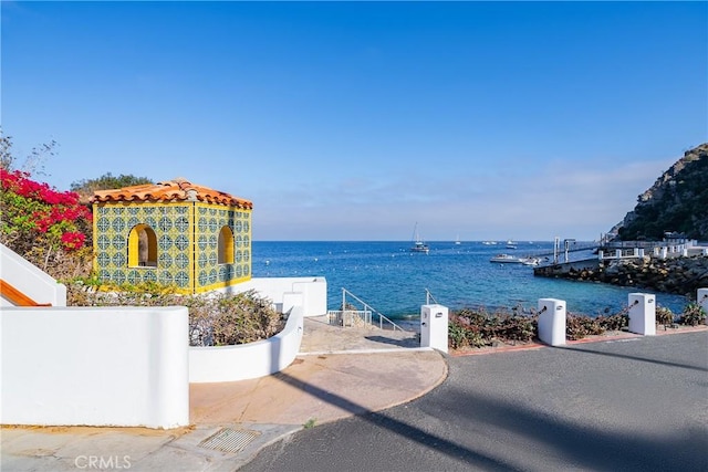 42 Camino De Flores Unit 60, Avalon, CA 90704 - view of water feature