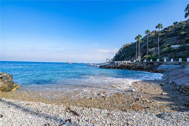 42 Camino De Flores Unit 60, Avalon, CA 90704 - property view of water