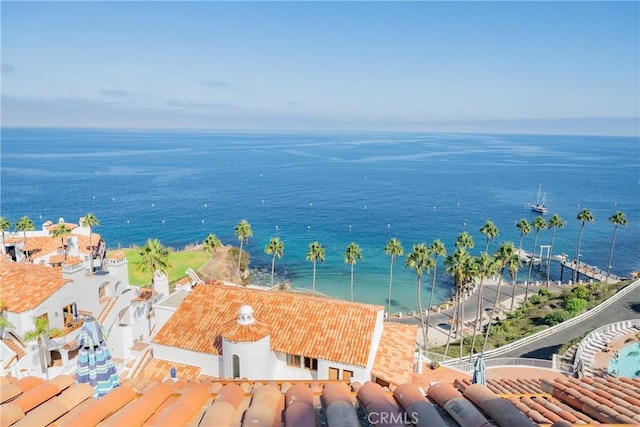 42 Camino De Flores Unit 60, Avalon, CA 90704 - view of water feature