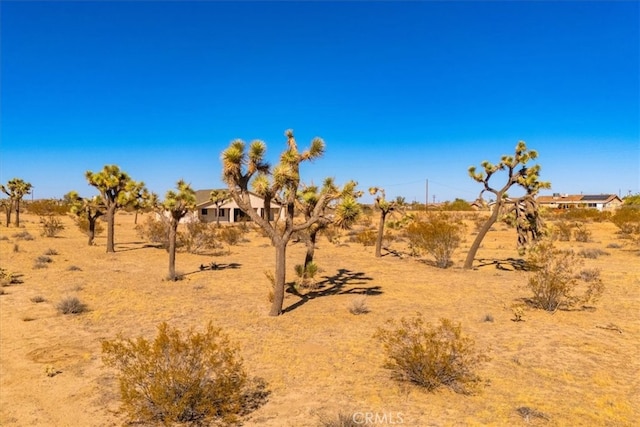 view of local wilderness with a rural view