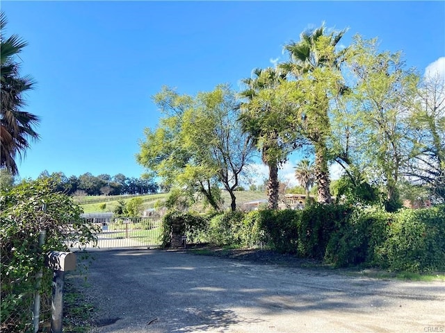 view of road featuring a gate, driveway, and a gated entry