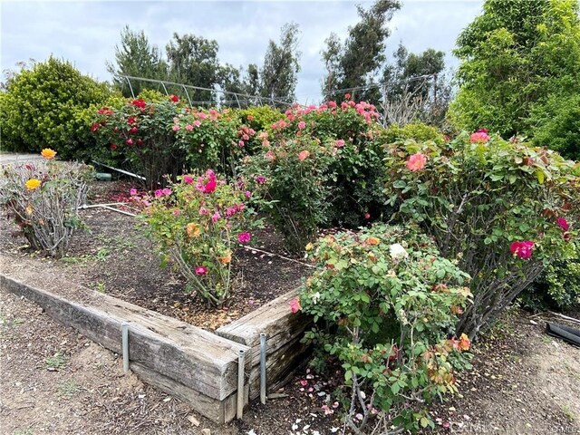 view of yard with a garden