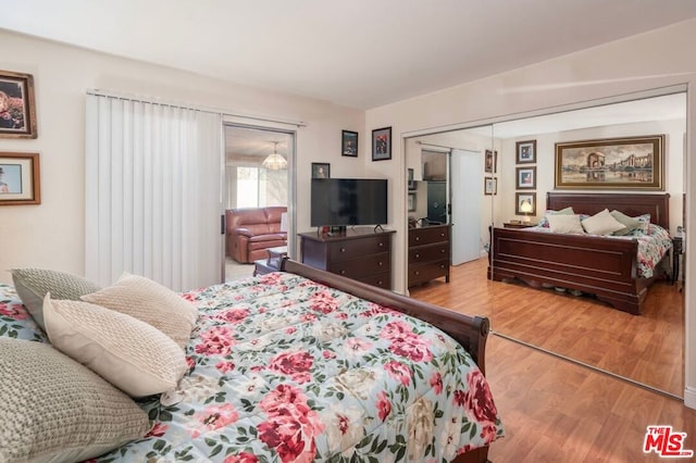 bedroom featuring wood-type flooring and a closet