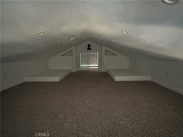 additional living space with a textured ceiling, carpet flooring, and vaulted ceiling