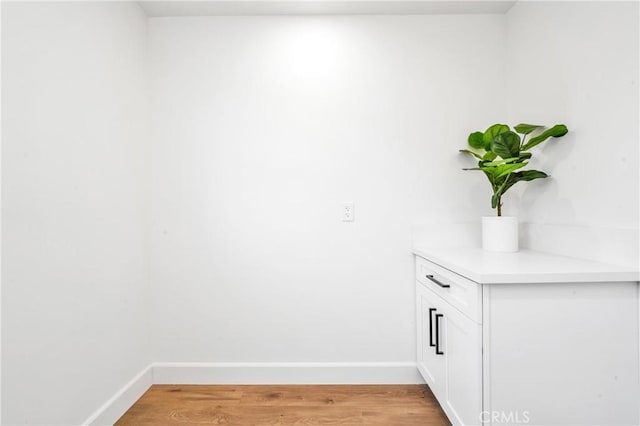 interior space with wood-type flooring