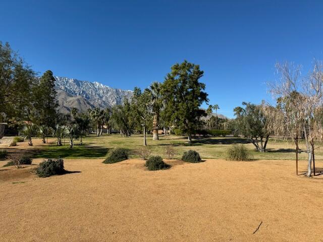 view of community featuring a mountain view and a lawn