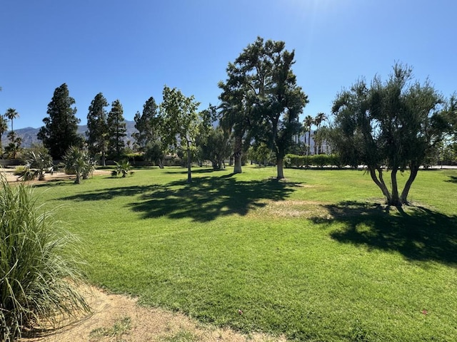 view of property's community with a lawn