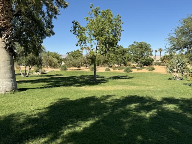 view of home's community with a yard