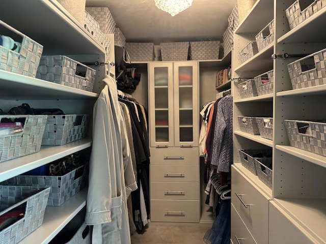 view of walk in closet