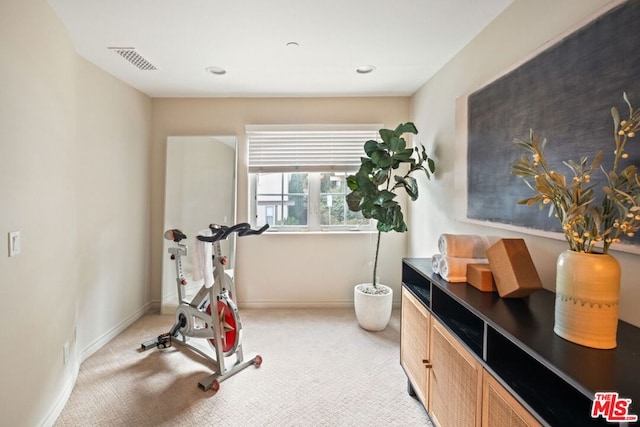 exercise area with light colored carpet