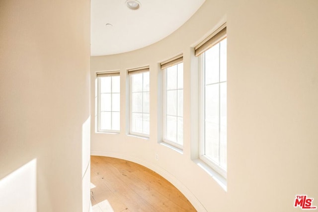 unfurnished room featuring light wood-type flooring and a wealth of natural light