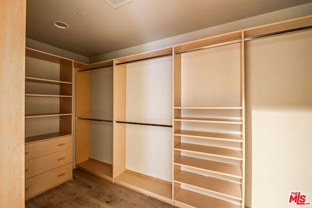 spacious closet with wood-type flooring