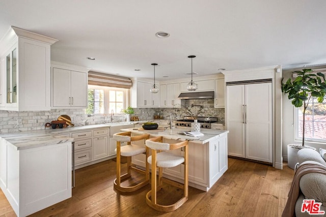 kitchen with white cabinets and light hardwood / wood-style floors