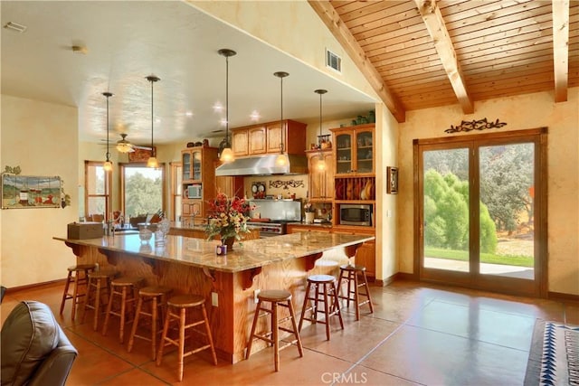 kitchen featuring glass insert cabinets, light stone countertops, under cabinet range hood, and stainless steel appliances