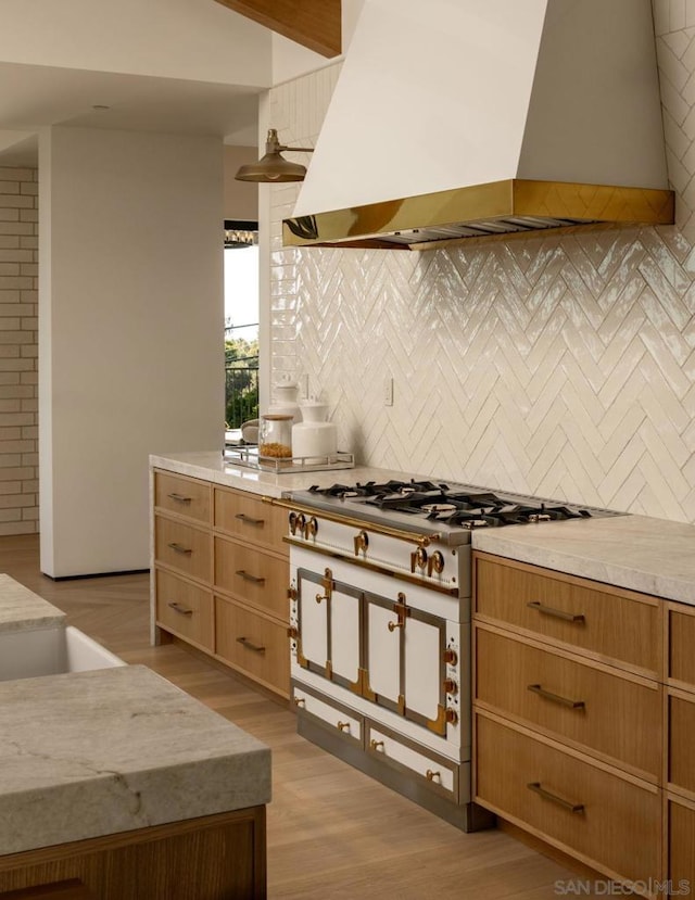 kitchen with premium range hood, light hardwood / wood-style flooring, and tasteful backsplash