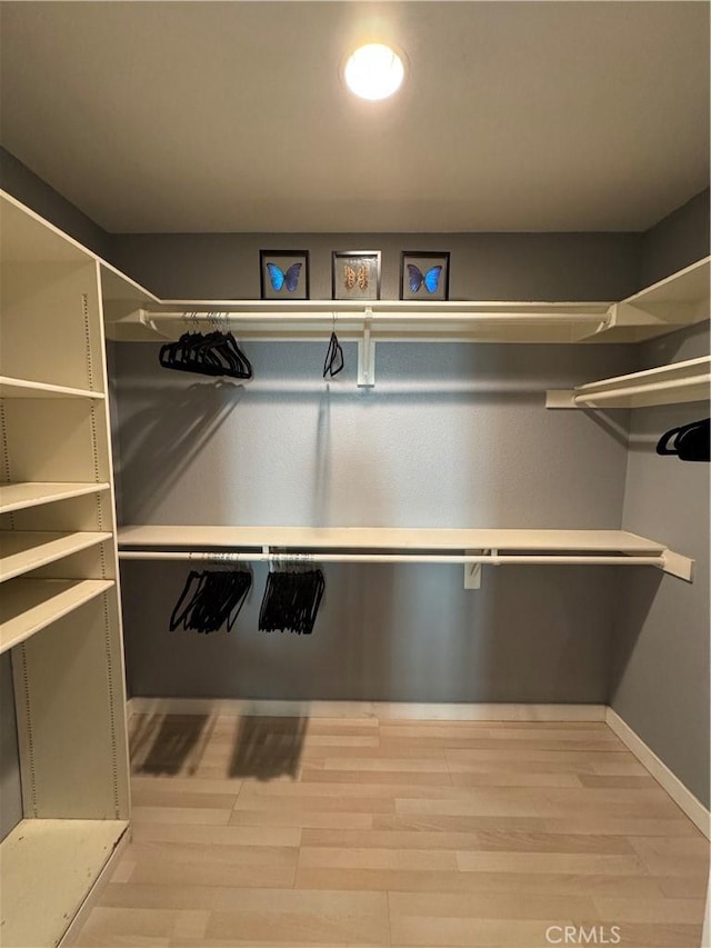 spacious closet featuring light wood-type flooring