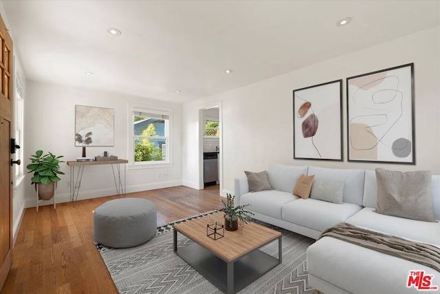 living room with hardwood / wood-style floors