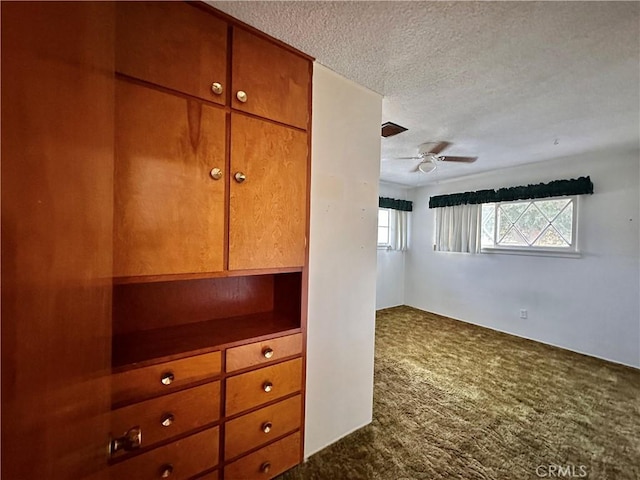 interior space with carpet, a textured ceiling, and ceiling fan