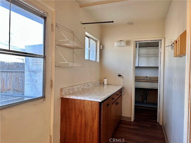 bathroom with wood-type flooring and a healthy amount of sunlight