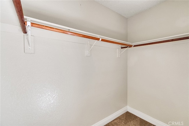 walk in closet featuring carpet flooring