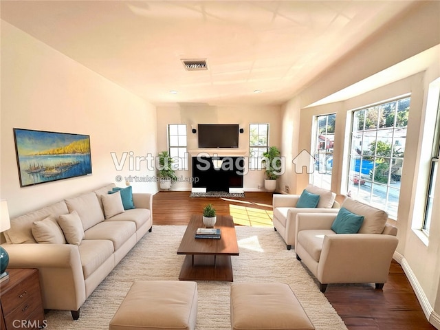 living room with hardwood / wood-style flooring and plenty of natural light