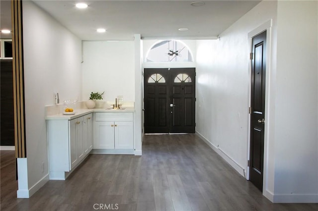 entryway featuring sink and dark wood-type flooring