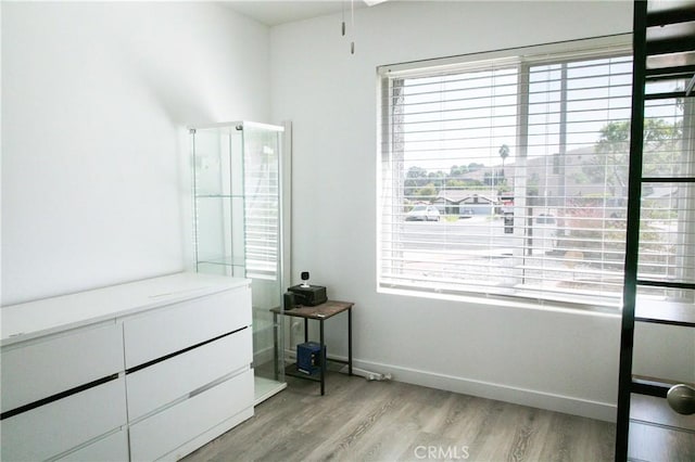 bedroom featuring light hardwood / wood-style flooring