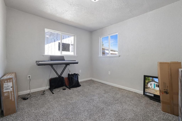 misc room featuring a textured ceiling and carpet flooring