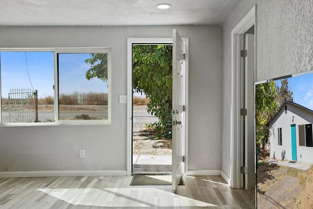 entryway featuring light hardwood / wood-style flooring and a healthy amount of sunlight