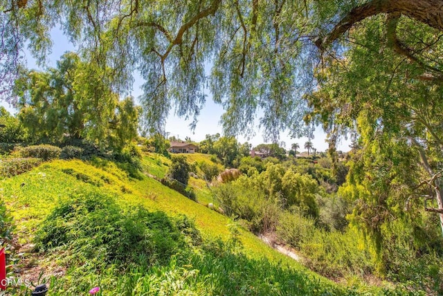 view of landscape