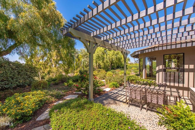 view of yard with a patio area