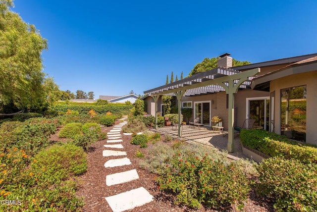 view of yard featuring a patio area and a pergola